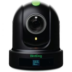 BirdDog Eyes P110 1080p Full NDI PTZ Camera (Black)