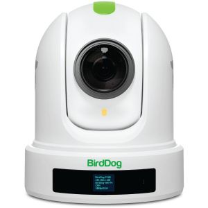 BirdDog Eyes P120 1080p Full NDI PTZ Camera (White)