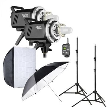 Godox MS300 Studio 2 Head Flash Kit