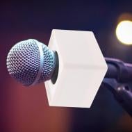 Category Microphone flag image