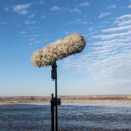 Category Shotgun Mic Wind Protection image